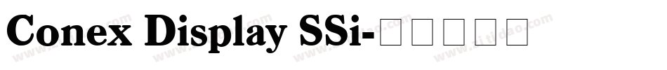 Conex Display SSi字体转换